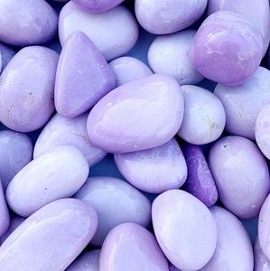 Meet your Posher, Amelia